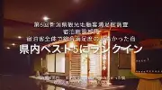 法楽館 福引屋