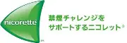 ニコレット株式会社