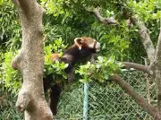 Nishiyama動物園