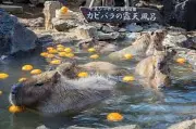 伊豆生物公園